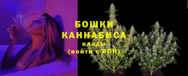 прущая мука Каменногорск